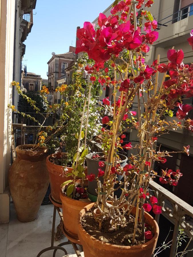 Bellini Apartment カターニア エクステリア 写真